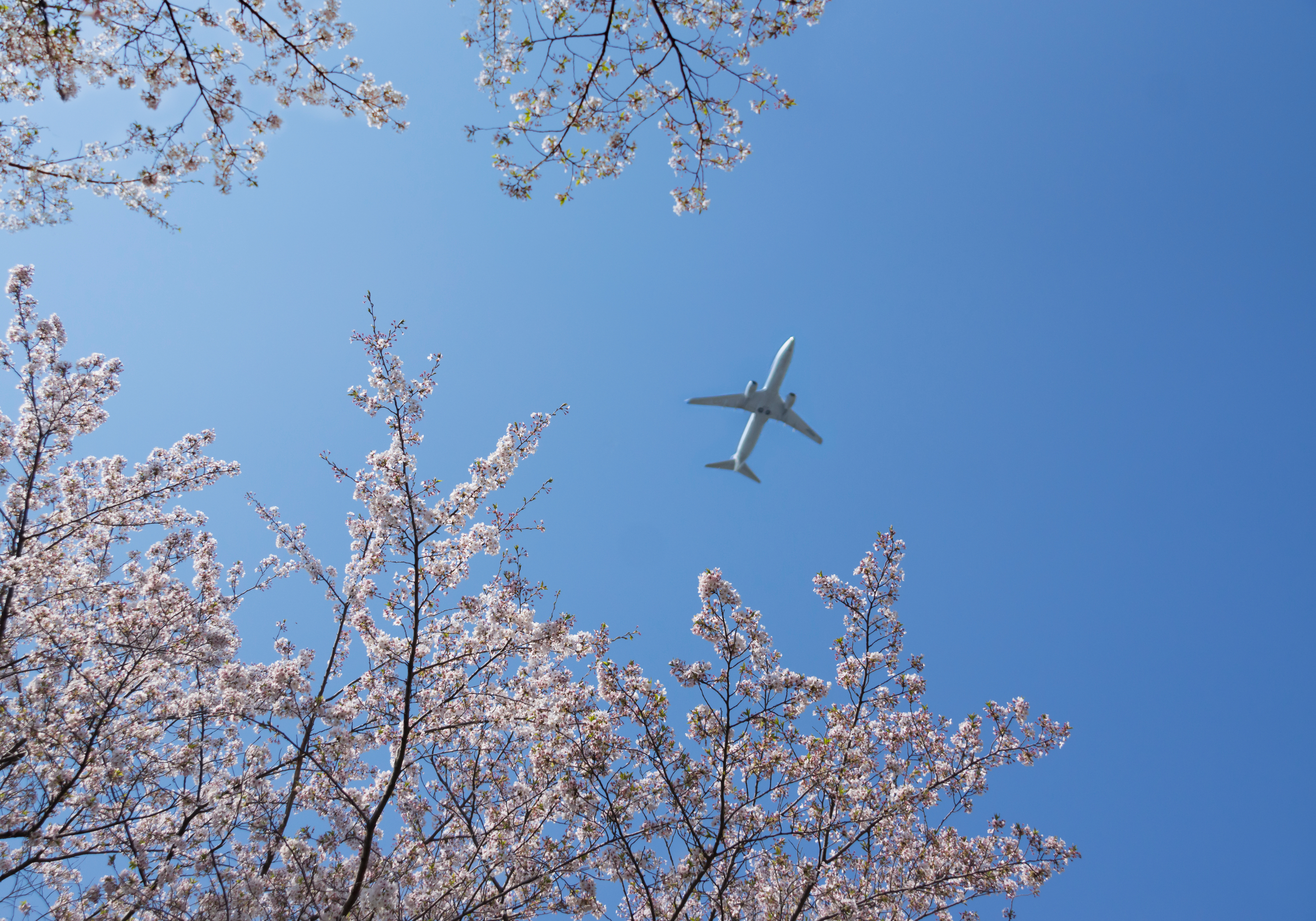U.S. Airlines Prepare for Record Number of Passengers this Spring Amid ...